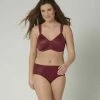 Triumph Femme ESSENTIAL MINIMIZER HIPSTER Slip Garnet Brown